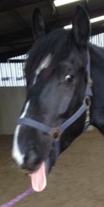 10491284_800017840087219_8758321212980114245_n