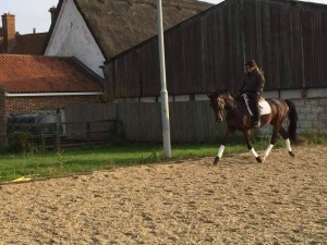 12380174_889975071117064_1438281941_n