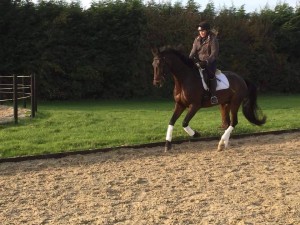 12380370_889975037783734_1331356944_n