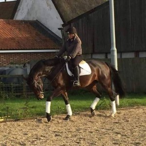 12666395_918889121558992_1367686969_n