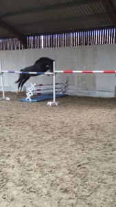 0171e9af74d5b2500b0c80f80e0eca27128a0c7dc8