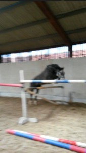 11258962_10153007181395000_477502597_n (1)