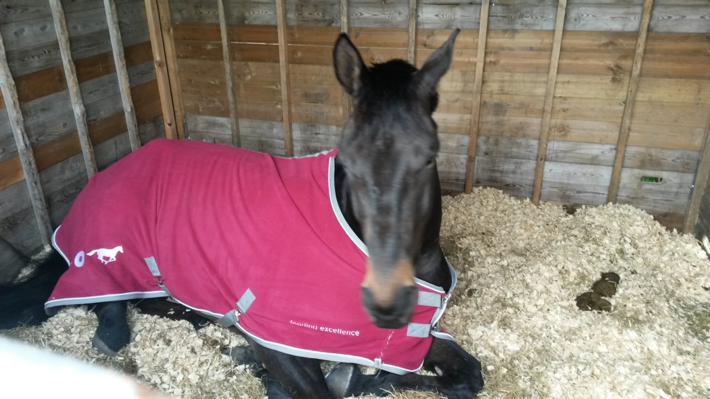 Hubert K was tired after his morning exercise on Saturday