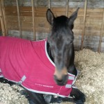 Hubert K was tired after his morning exercise on Saturday