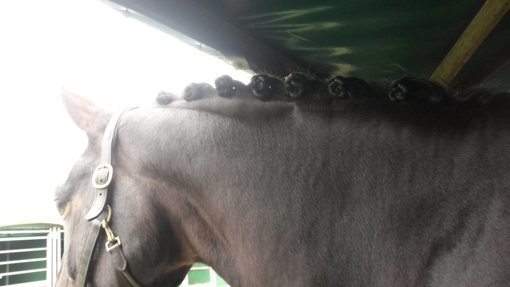 Plaited & ready on Saturday