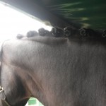 Plaited & ready on Saturday