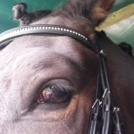 Cheeky grin from Hubert K before riding