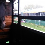 Torrential rain on Sunday morning