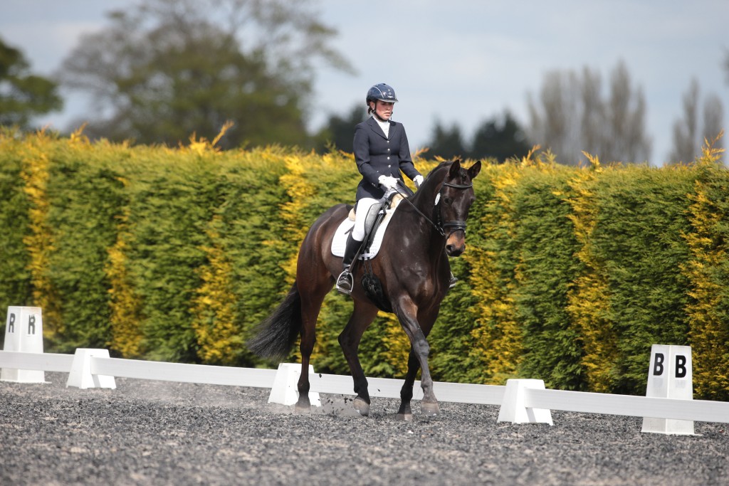 g5fr9847f-(ZF-6202-13128-1-001)