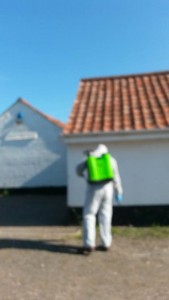 11272276_797947543653151_2020259063_n