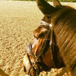 11281751_797947223653183_791462668_n