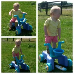 11304145_800434070071165_276979506_n