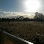 11356288_797947276986511_620902071_n