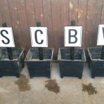 The new arena letters are starting to take shape...