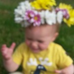 11647229_808986322549273_1658810191_n