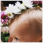 11655133_808986305882608_1639397224_n