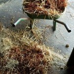 11655160_808986195882619_337472656_n